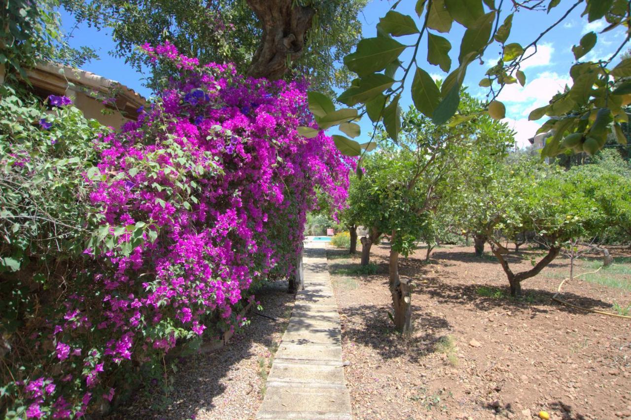Chalet Alconasser 3 - Amazing Seaviews Between Deia&soller